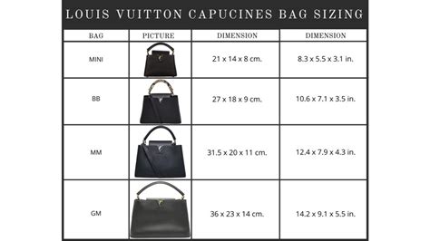 lv capucine size|louis vuitton capucines sizes.